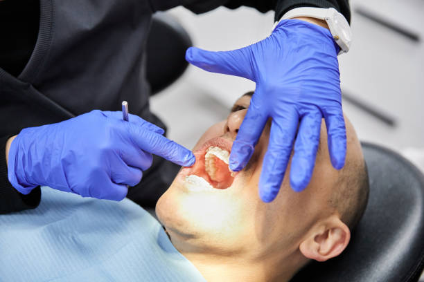 Best Emergency X-Rays and Diagnostics in Fullerton, PA