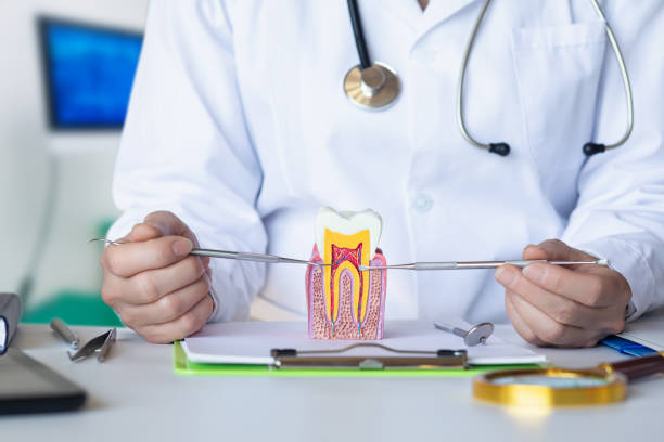 Best Emergency Root Canal Therapy in Fullerton, PA